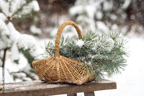 Winter basket with fir branches in a snow forest