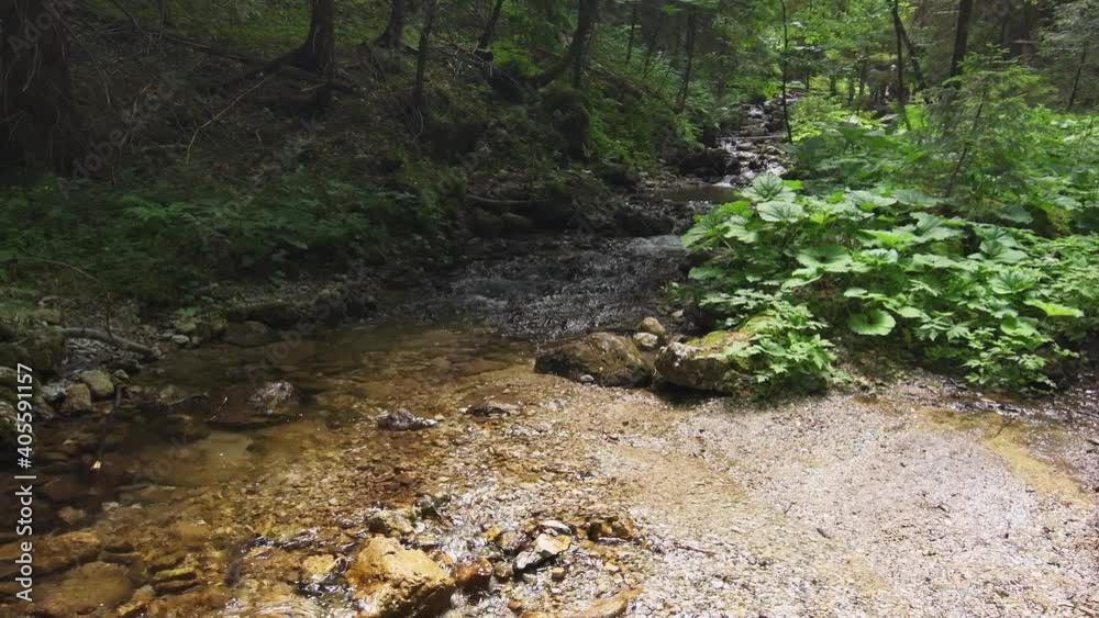 Water stream in the forest at Janosikove Diery near Terchova village. Slovakia national nature park Mala Fatra. Hiking and trekking in fresh nature. Water stream in the forest at Janosikove Diery near Terchova village. Slovakia national nature park Mala Fatra. Hiking and trekking in fresh nature.