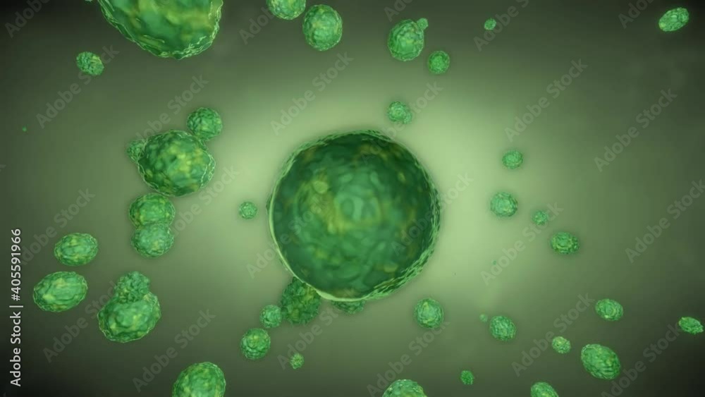 green bacteria, cells in the body green bacteria, cells in the body