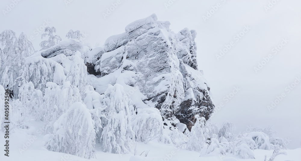 frozen rock and trees with rime-covered branches on a mountain pass after blizzard