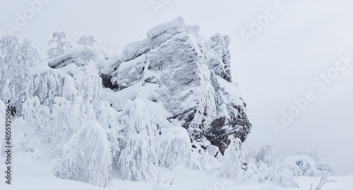 frozen rock and trees with rime-covered branches on a mountain pass after blizzard © Evgeny