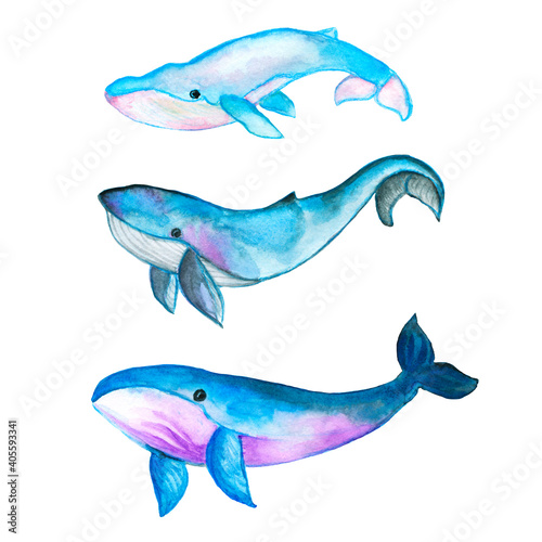 Ocean animals .watercolor animals . Northern Fish.Arctic animals clipart. Cute winter animals.