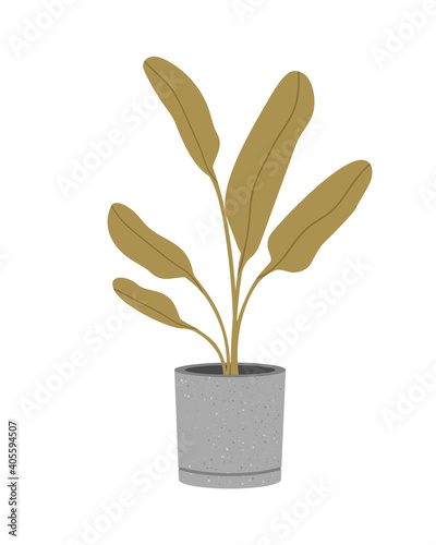 Vector illustration of the flowerpot with dieffenbachia isolated on a white background. Concept of home flower, springtime gardening, floriculture. Hand-drawn set in flat style.