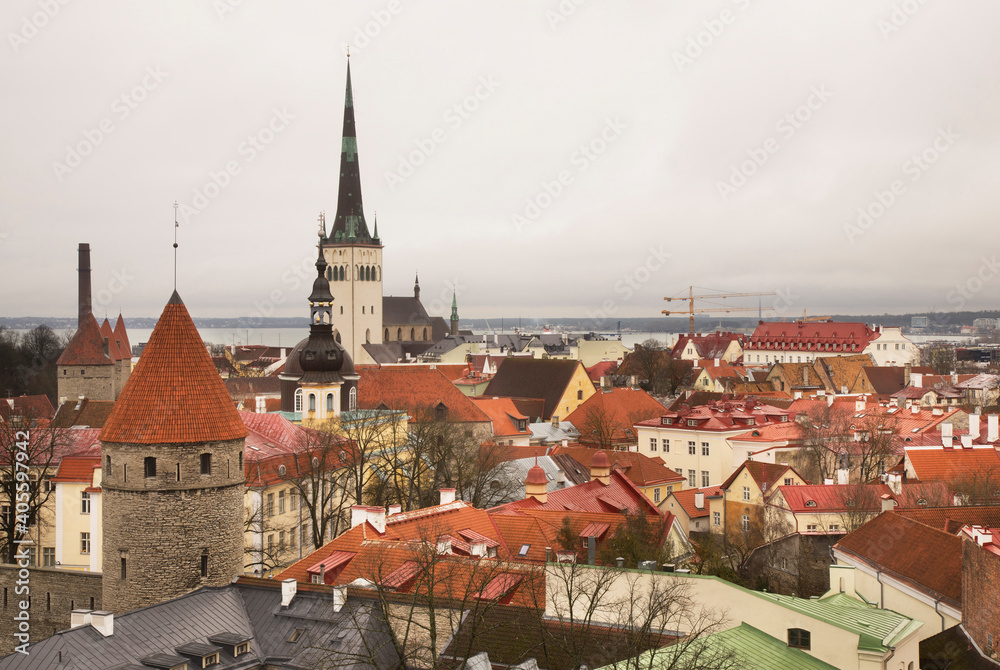 Obraz premium Panoramic view of Tallinn. Estonia