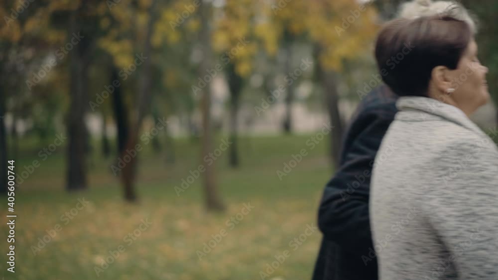Side view of loving senior couple hugging and leaving. Happy smiling Caucasian man and woman meeting outdoors in autumn park. Bonding and eternal love dating concept. Side view of loving senior couple hugging and leaving. Happy smiling Caucasian man and woman meeting outdoors in autumn park. Bonding and eternal love dating concept.