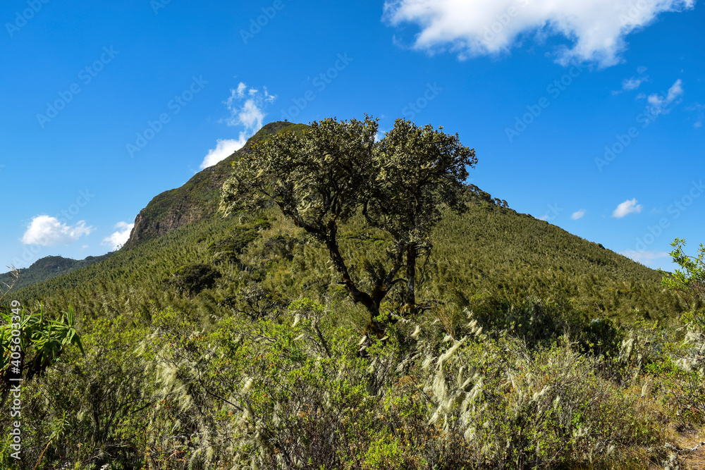 Scenic mountain landscapes against sky in Aberdares, Kenya