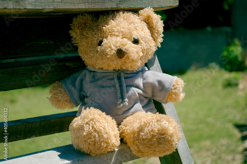 Toy teddy bear sitting on a wooden ladder.