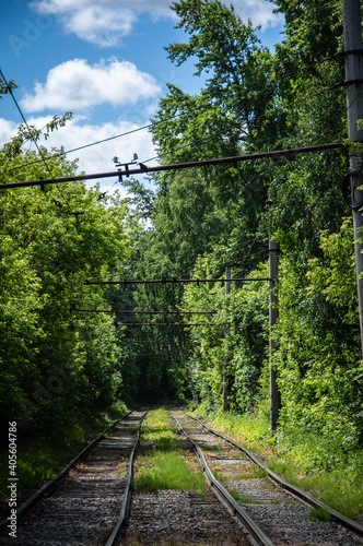 railway in the forest