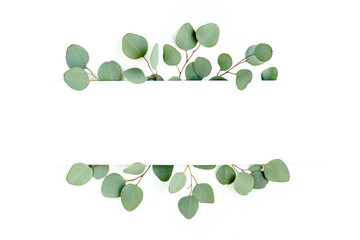 Frame, border made of green leaves eucalyptus isolated on white background. flat lay, top view