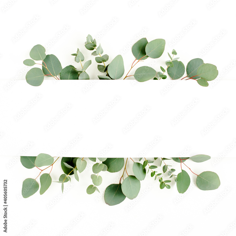 Frame, border made of green leaves eucalyptus isolated on white