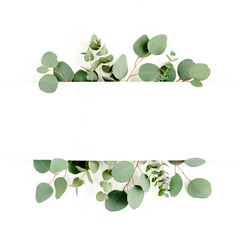 Frame, border made of green leaves eucalyptus isolated on white background. flat lay, top view