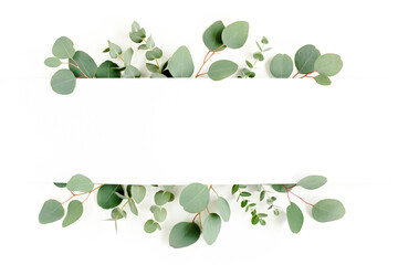 Frame, border made of green leaves eucalyptus isolated on white background. flat lay, top view