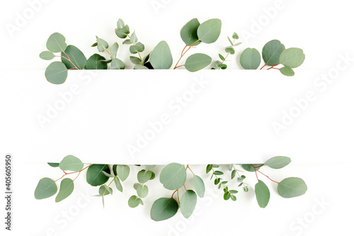 Frame, border made of green leaves eucalyptus isolated on white background. flat lay, top view