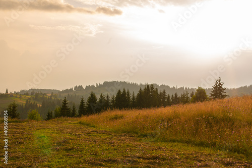 Summer nature landscape of Karpaty Mountains. a