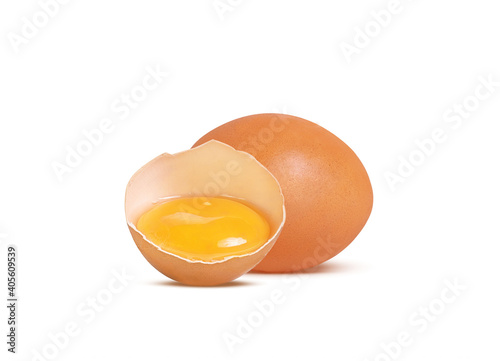 chicken egg brown on white background
