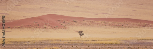 Sossus Vlei  Sesriem  Parque Nacional Namib Naukluft  Desierto del Namib  Namibia  Afirca