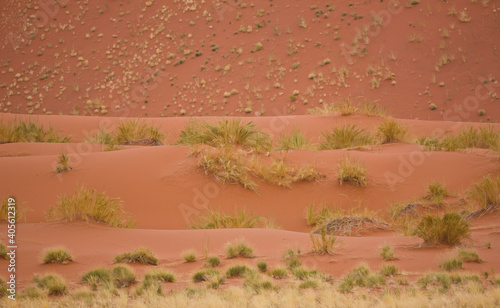 Sossus Vlei, Sesriem, Parque Nacional Namib Naukluft, Desierto del Namib, Namibia, Afirca photo