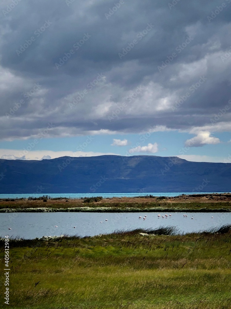 Laguna Nimez, El Calafate