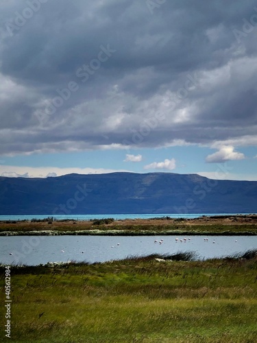 Laguna Nimez  El Calafate