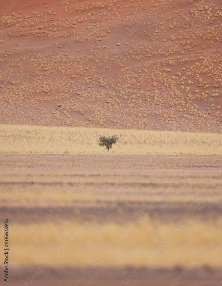 Obraz premium Sossus Vlei, Sesriem, Parque Nacional Namib Naukluft, Desierto del Namib, Namibia, Afirca