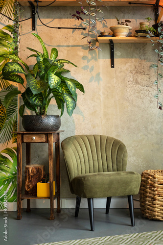 Many house plants in a vintage inspired interior with a concrete wall and green with yellow accents. Warm tones create a cosy eclectic vintage styked home