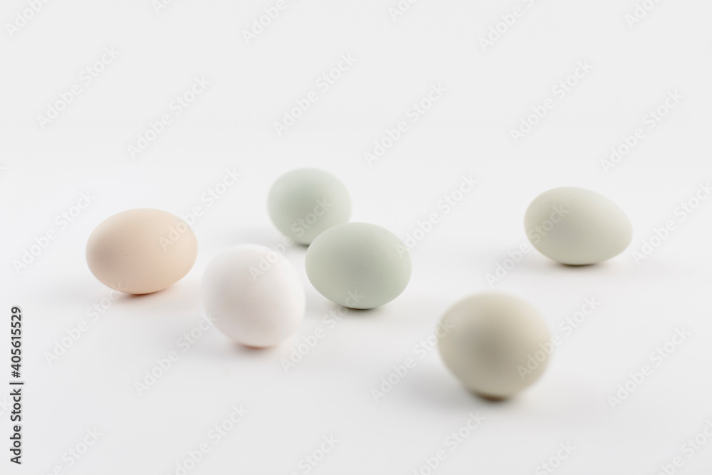 organic eggs on white background organic eggs on white background