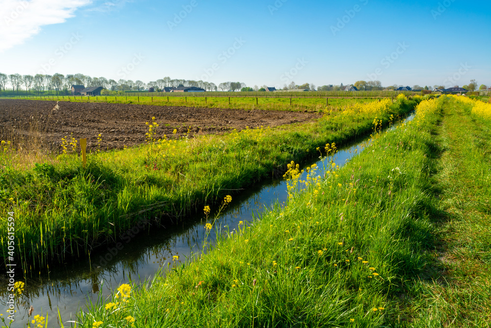 Spring nature landscape in Betuwe, Gelderland, Netherlands