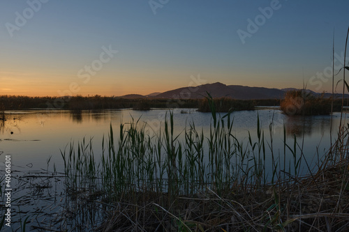 calm water in the lake at sunset