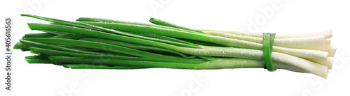 green fresh onion feathers with water drops are gathered in a bundle on a white isolated background