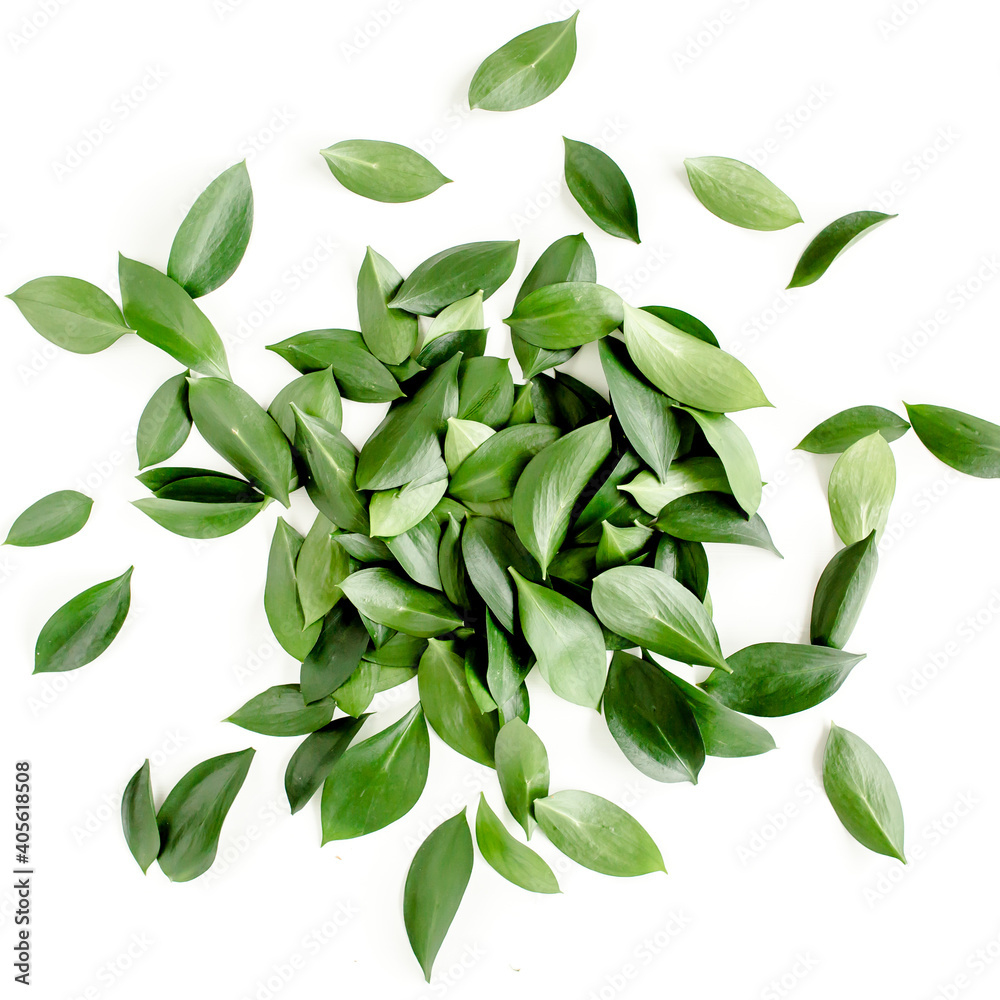 Pattern, texture with green leaves isolated on white background. flat lay, top view Pattern, texture with green leaves isolated on white background. flat lay, top view