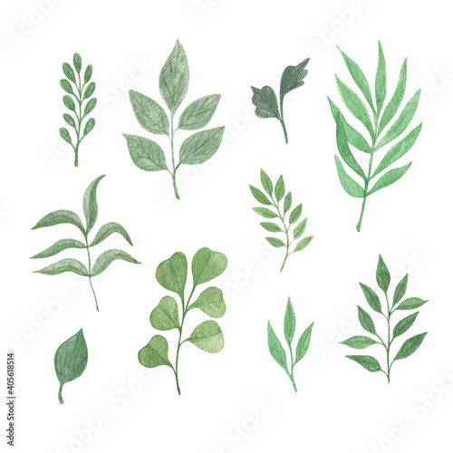 Watercolor simple green leaves set, hand drawn botanical floral illustration for any design purposes can be used for design purposes, greeting cards, invitations, wedding decor, menu, banner © Contes de fée 