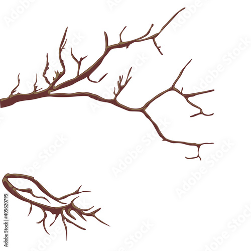Background for postcards and graphic works. A branch on a white background. Background, banner, space for text.