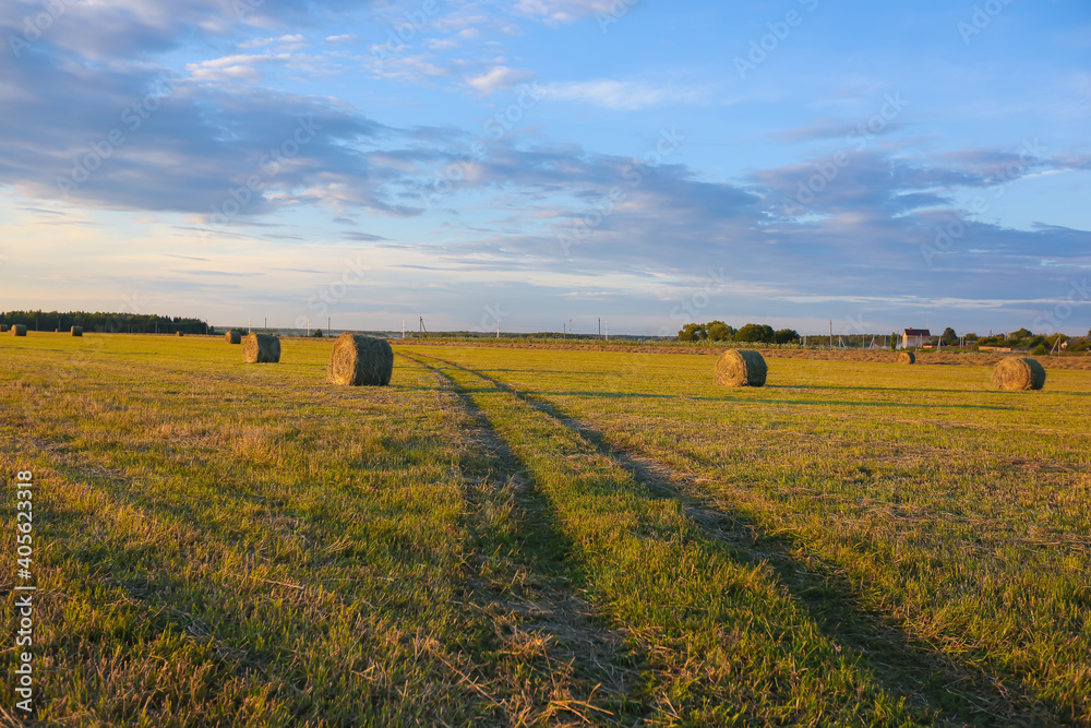 Obraz premium beautiful sunset over the field 