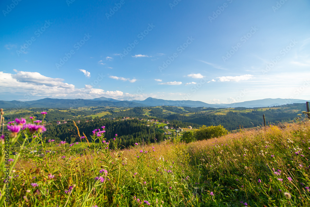 Beautiful summer landscape of village among Karpaty mountains