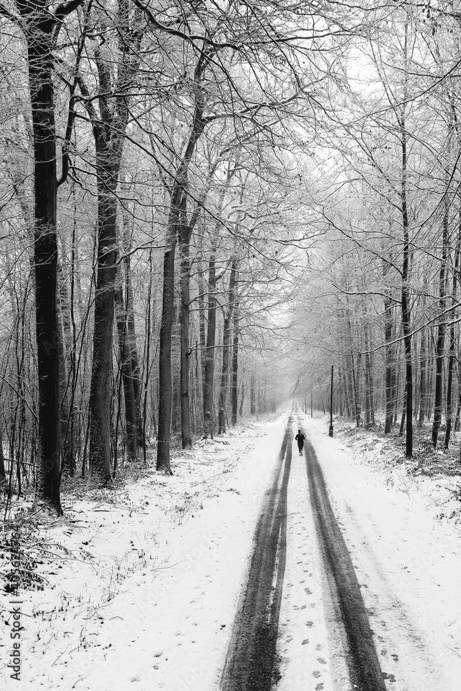 A person practicing sports on a snow-covered forest road. Top view of the road in the woods. Winter season. A person practicing sports on a snow-covered forest road. Top view of the road in the woods. Winter season.