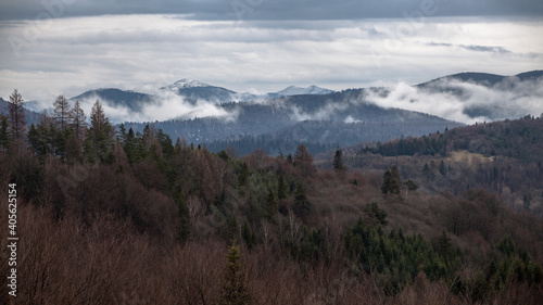 Mglisty górski krajobraz podczas pochmurnego dnia po deszczu, Bieszczady, Polska