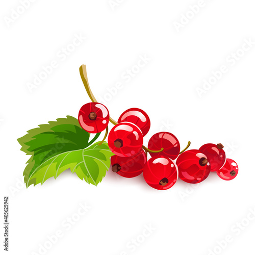 Red currant