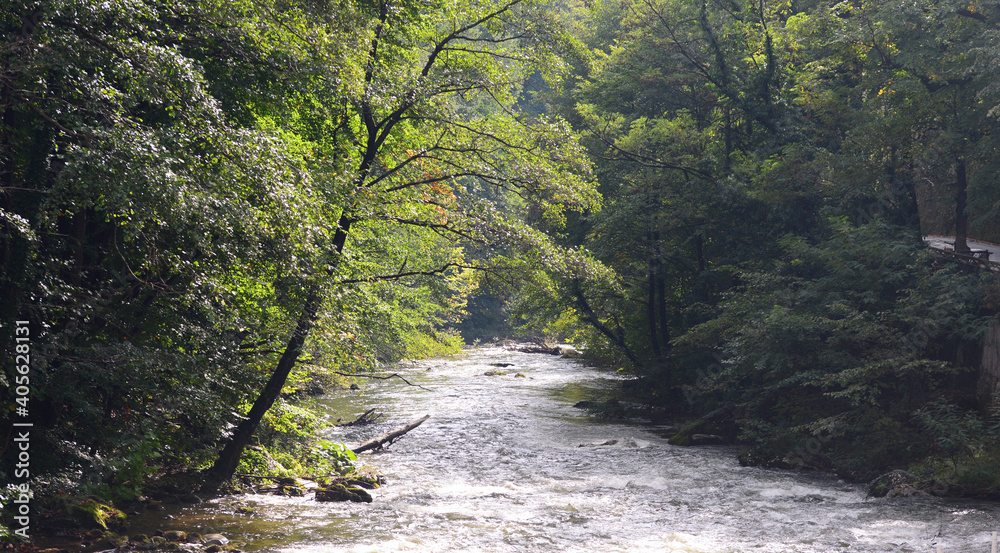 Fototapeta premium Cerna river landscape