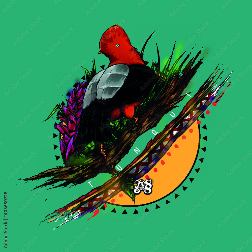 Gallito de las rocas - ave