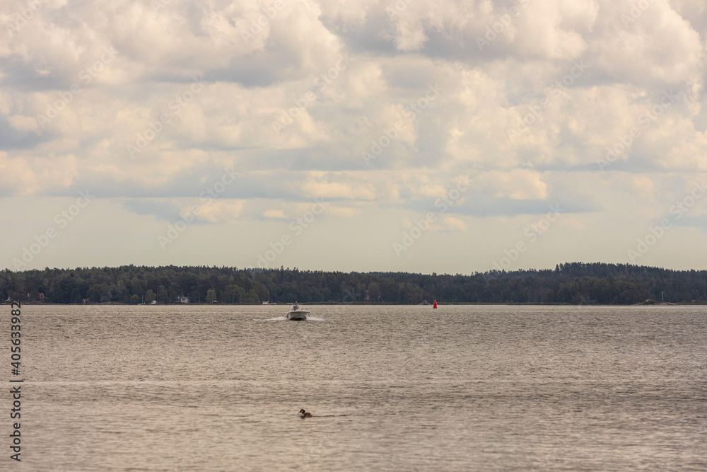 Beautiful nature landscape view.  Boat and bird on Baltic sea surface on front and pale sky with white clouds background.