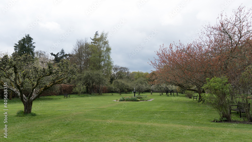 trees in the park