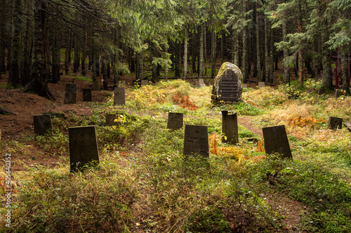 Fotografie An old military cemetery in the forest. World War I. Headstones.