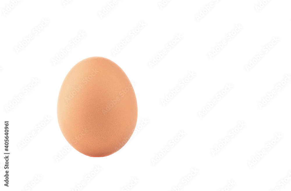 One chicken egg isolated on white background with place for text. One chicken egg isolated on white background with place for text.
