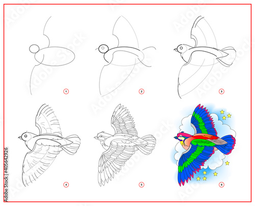 How to draw cute flying bird. Educational page for children. Creation step by step animal illustration. Printable worksheet for kids school exercise book. Online education.