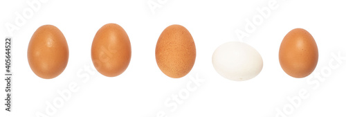 Five white and brown chicken eggs in a row isolated against a white background. Baner.