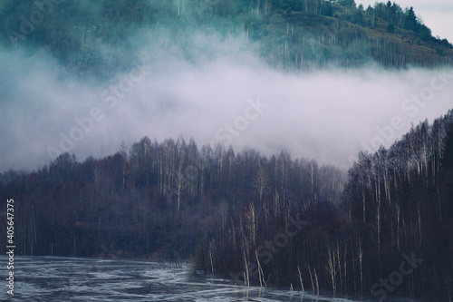 Fototapeta Naklejka Na Ścianę i Meble -  misty landscape with fir forest in hipster vintage retro style