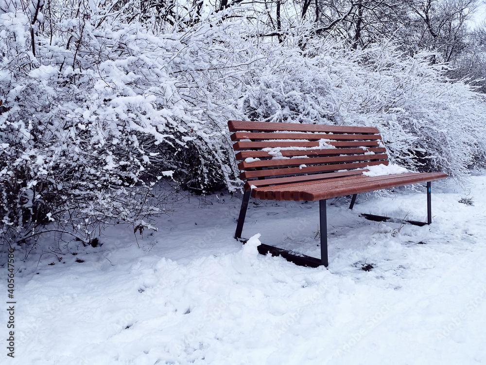 Winter scene with a wooden bench in the park