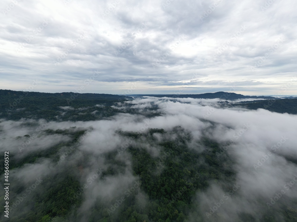 Aerial view over a tropical forest in the Amazon of Ecuador, covered in a layer of fog