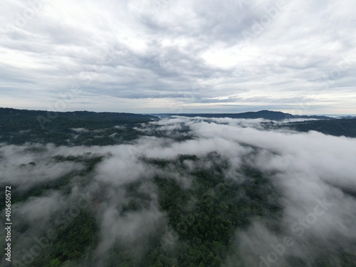 Aerial view over a tropical forest in the Amazon of Ecuador, covered in a layer of fog
