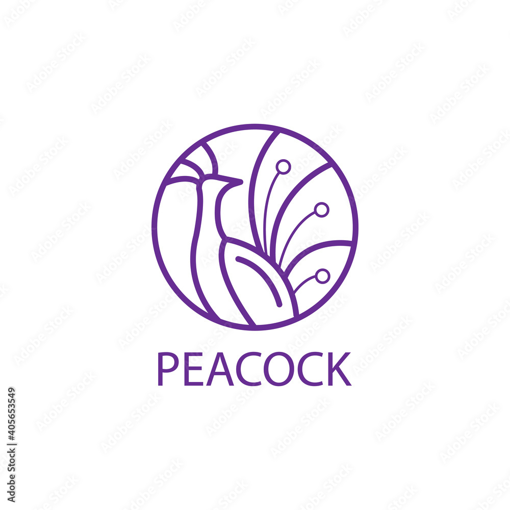 Peacock vector illustration color line logo circle design template ...